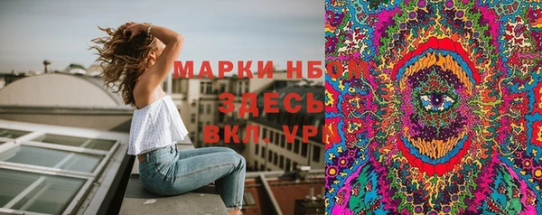 молекула духа Михайловск