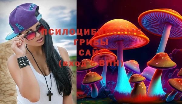 молекула духа Михайловск