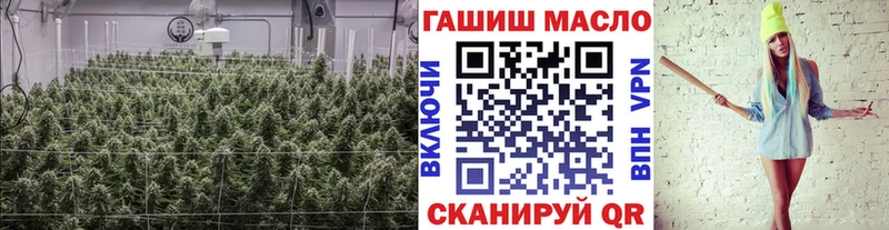 блэк спрут как зайти  как найти закладки  Остров  Дистиллят ТГК THC oil 