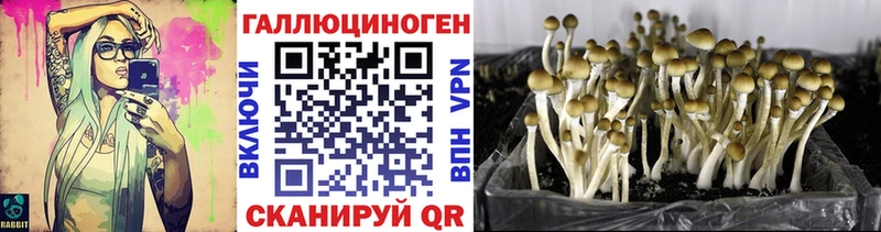 Псилоцибиновые грибы Cubensis  где найти наркотики  Остров 